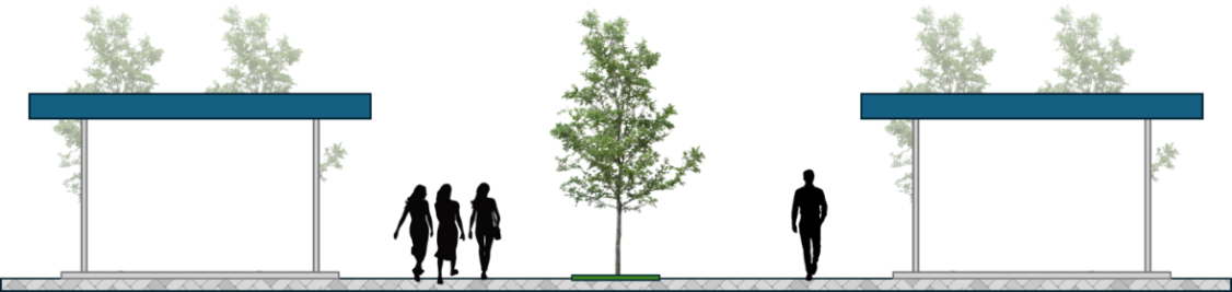 A tree with green leaves

Description automatically generated