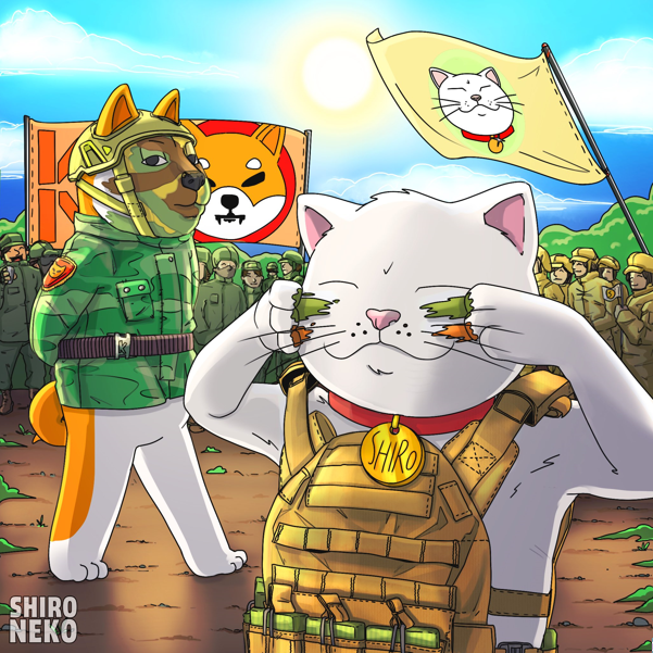 Shiro Neko Gains Public Support from Shiba Inu and Promises Exponential Growth