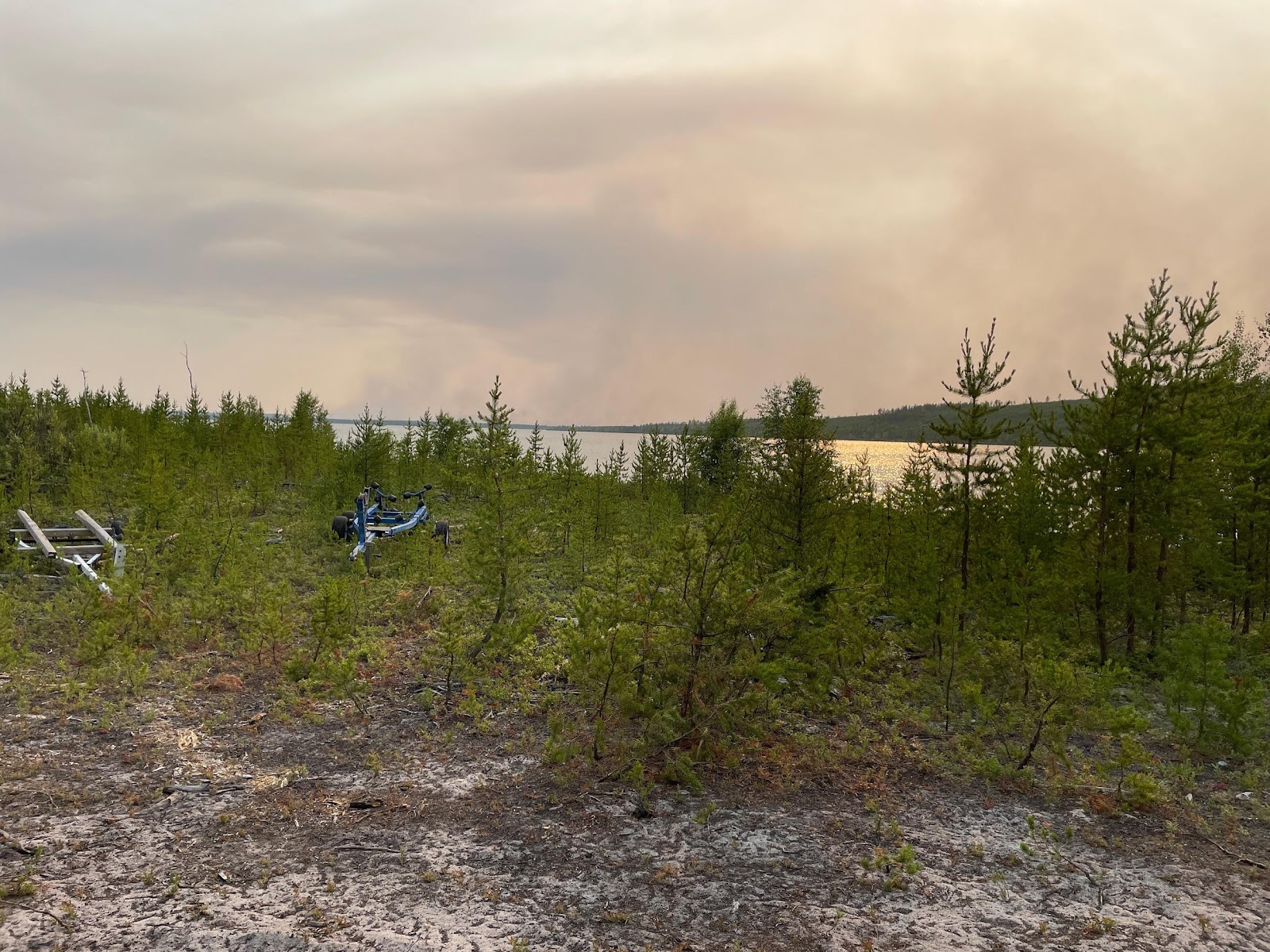 Sparse bushed trees overlooking the water, orange and smokey from the fires.