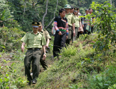 Tuần tra bảo vệ rừng.olm