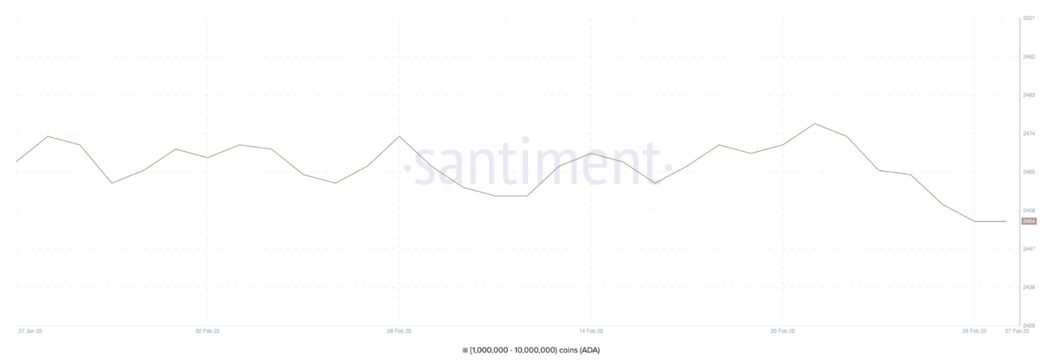 Addresses Holding Between 1 Million and 10 Million ADA