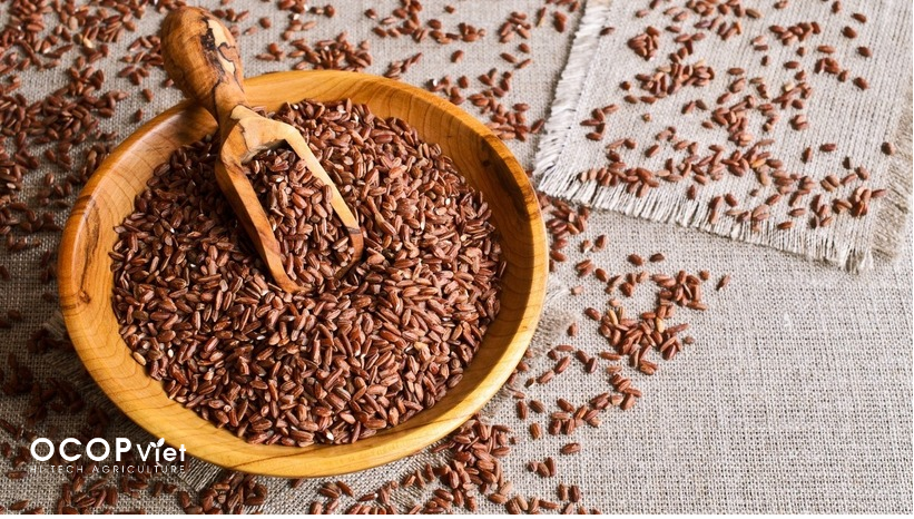 công dụng của gạo lứt