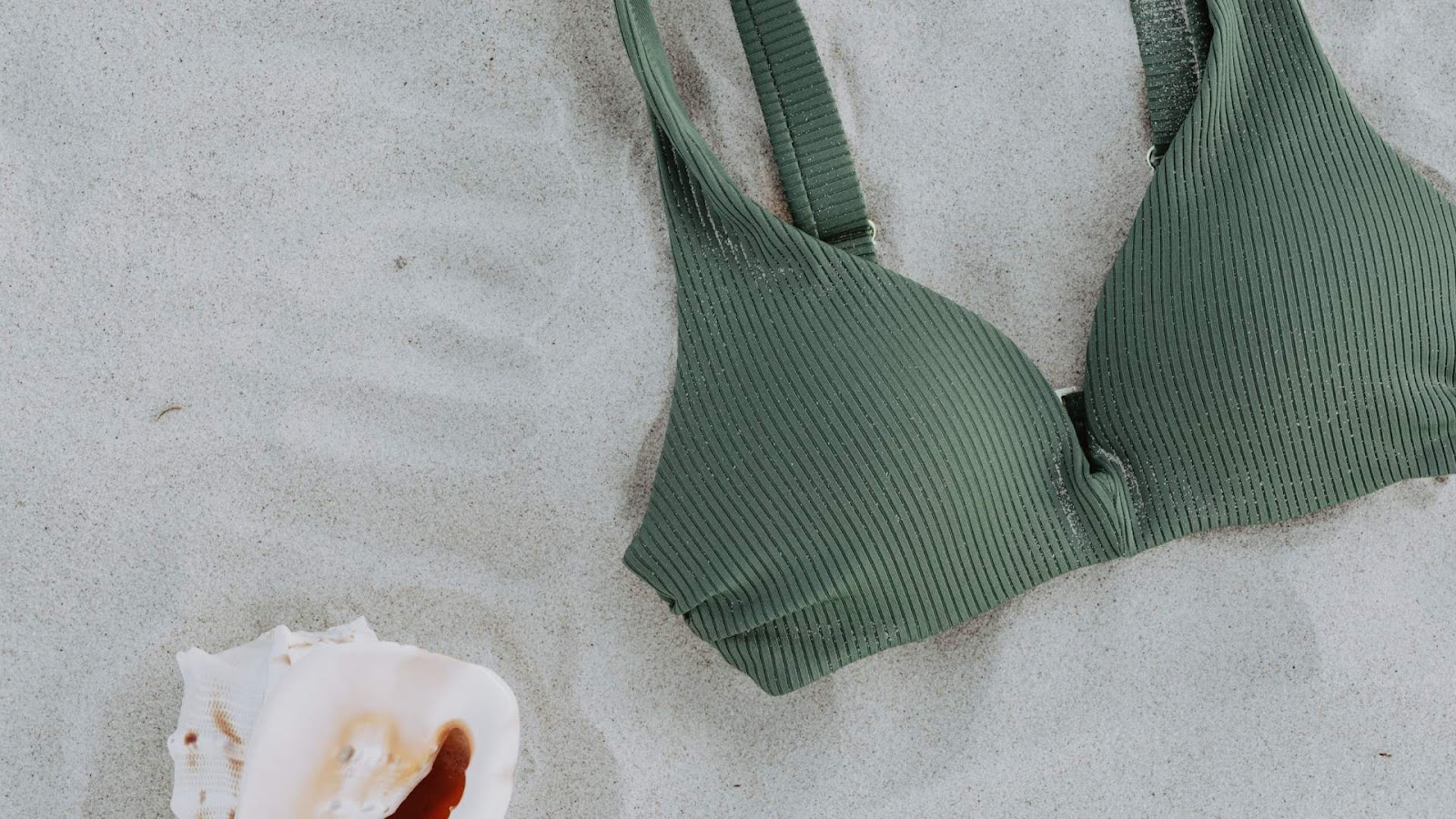 Swimwear top and sea shell and the beach—How to choose a fabric for swimwear (a complete guide)