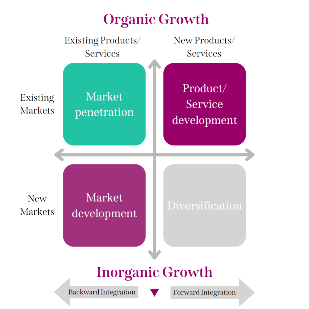 organic growth vs inorganic growth