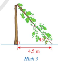 BÀI 1. CĂN BẬC HAI VÀ CĂN BẬC BA CỦA SỐ THỰC