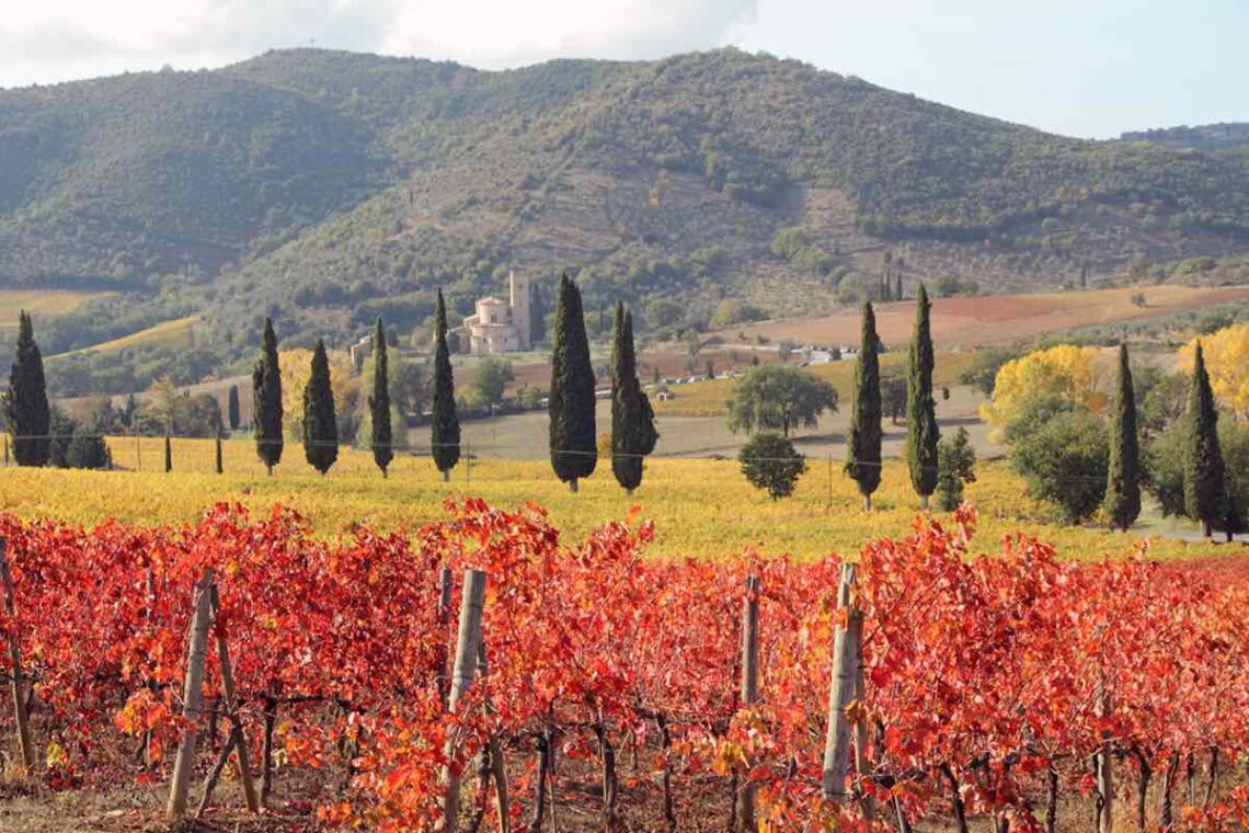 Tuscany in Autumn