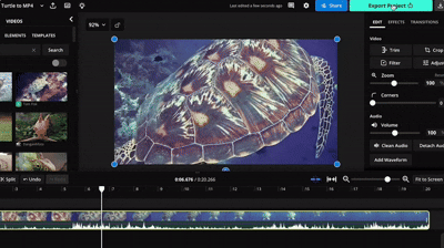 kapwing free video converter
