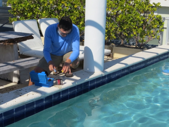 Top 5 Common Swimming Pool Repairs in Miami, FL: All You Need to Know
