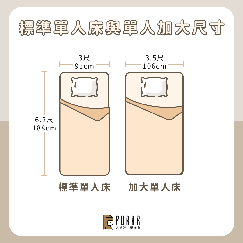 標準單人床與單人加大尺寸