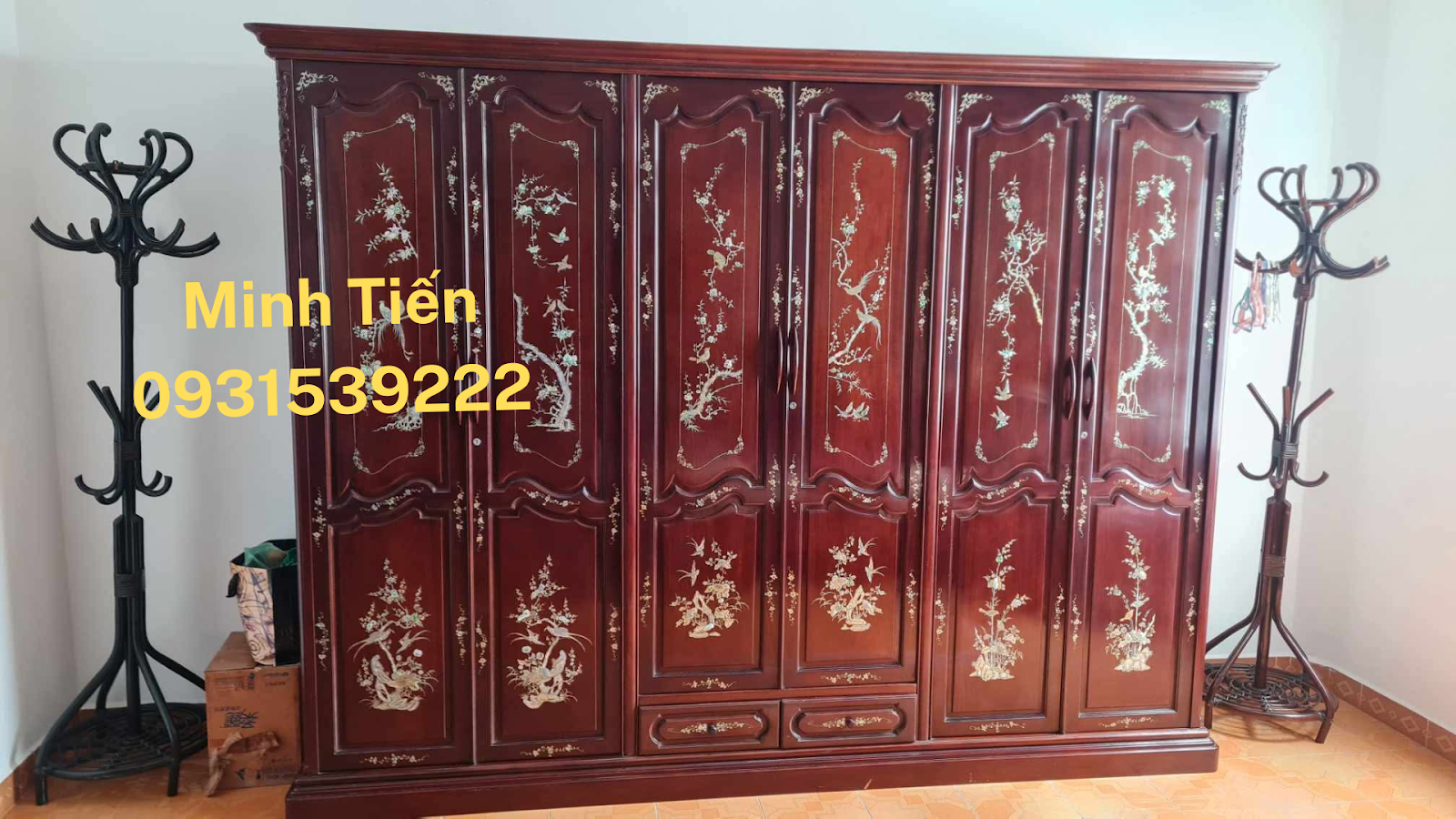 Hình ảnh
