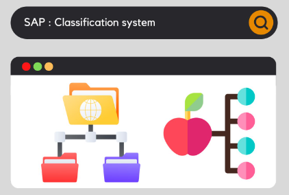 Características en SAP