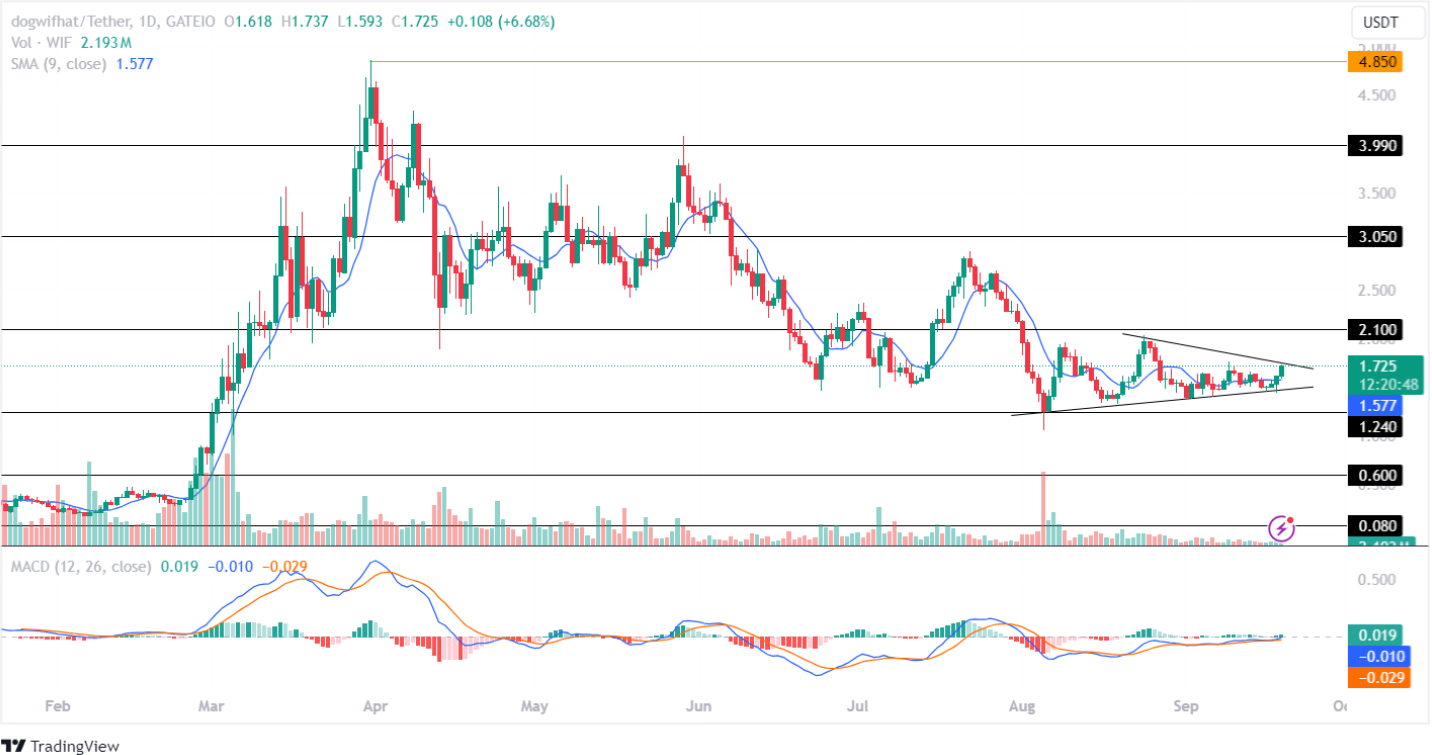 Dogwifhat Price Analysis September 2024