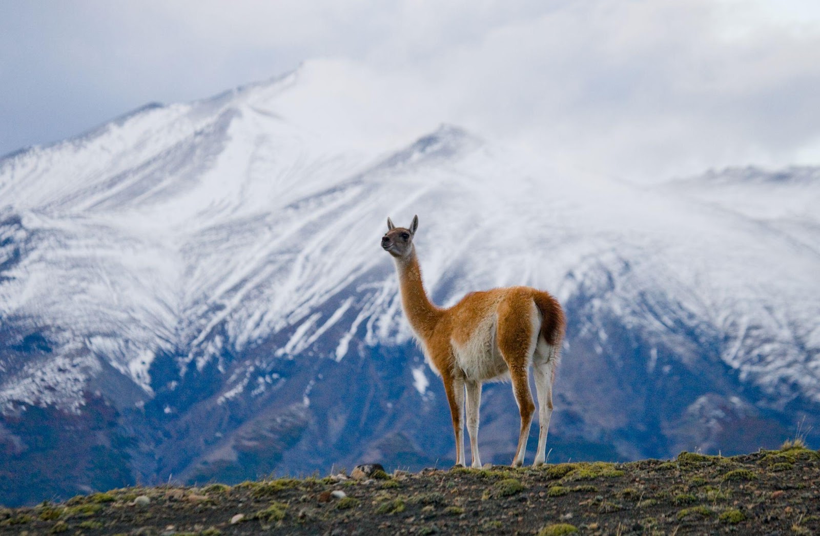 trekking in Patagonia