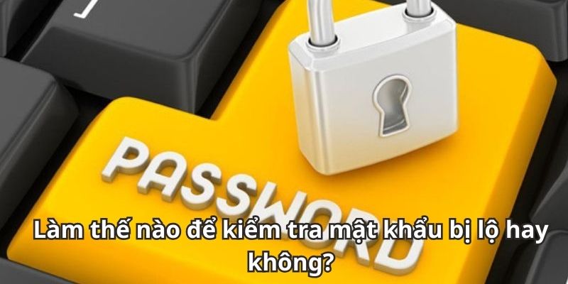 Mật Khẩu Gemwin Bị Lộ? 3 Vấn Đề Và Cách Kiểm Tra Nhanh Chóng