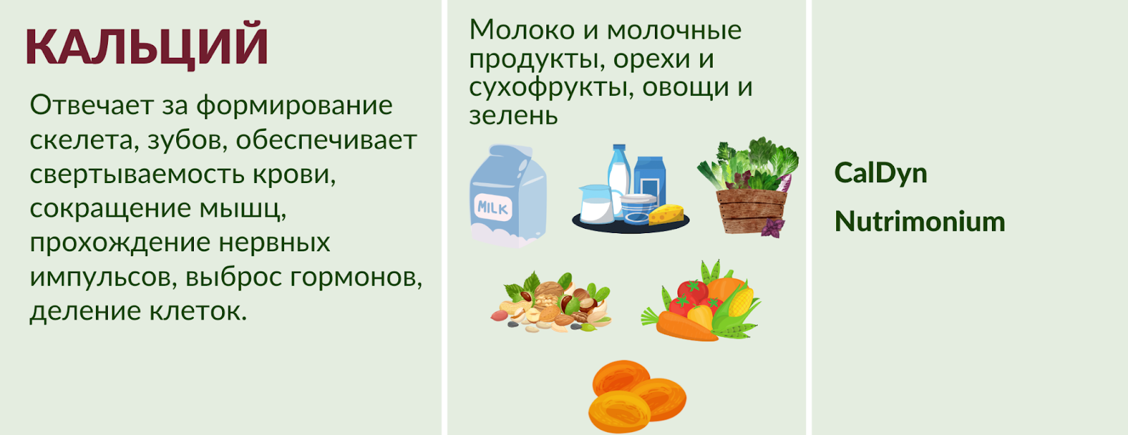 кальций в продуктах
