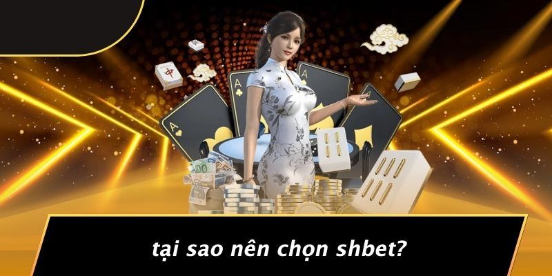 Tại Sao Nên Chọn SHBET?