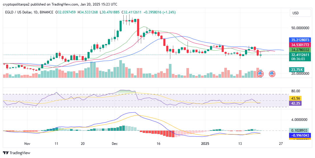 EGLD/美元价格图表。图片来源：TradingView