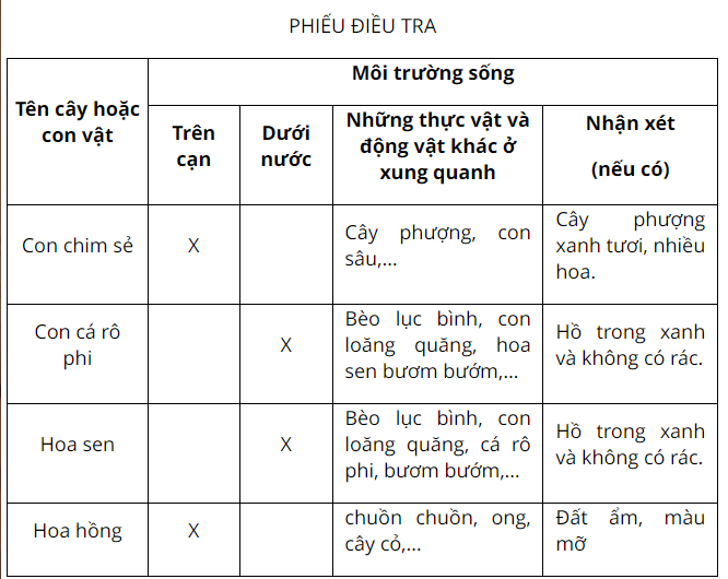 2. Đi tìm hiểu, điều tra