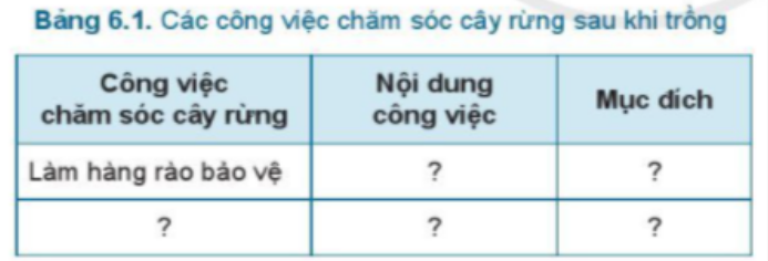 BÀI 6.CHĂM SÓC CÂY RỪNG SAU KHI TRỒNGMỞ ĐẦUCâu hỏi: Quan sát Hình 6.1 và cho biết hậu quả của việc không chăm sóc cây rừng.Đáp án chuẩn:Cây không thể phát triển hoặc sẽ bị chết, bị sâu bệnh hại, bị động vật phá hoại1. MỤC ĐÍCH CỦA VIỆC CHĂM SÓC CÂY RỪNGCâu hỏi : 1. Mục đích của việc chăm sóc cây rừng là gì?2. Chăm sóc rừng cần bắt đầu vào thời gian nào và tiến hành trong vòng bao nhiêu năm?Đáp án chuẩn:1. Hạn chế cỏ dại, sâu bệnh và làm đất tơi xốp.2. Từ 1 đến 3 tháng sau khi trồng, tiến hành liên tục đến 4 năm.1.2. Triển vọng của trồng trọtCâu hỏi: Hãy đọc nội dung mục 1.2 và nêu những triển vọng phát triển của trồng trọt ở nước ta.Đáp án chuẩn:Ứng dụng công nghệ, kĩ thuật, người trồng có kinh nghiệm2. THỜI GIAN, SỐ LẦN CHĂM SÓC CÂY RỪNG SAU KHI TRỒNG2.1.Thời gian chăm sóc2.2.Số lần chăm sócLuyện tập : Em hãy cho biết số lần, thời gian chăm sóc cây rừng ở từng giai đoạn có trong Hình 6.2.Đáp án chuẩn:Hình 6.2a : Liên tụcHình 6.2b : 1 - 2 lầnHình 6.2c : 1 - 2 lầnHình 6.2d : Không cần chăm sócVD. Hãy xác định thời gian và số lần chăm sóc một loại cây rừng mà em biết.Đáp án chuẩn:Cây bạch đàn: Năm thứ nhất chăm sóc 3 lần, năm thứ 2 chăm sóc 2 lần, năm thứ 3 chăm sóc 1 lần. 3. NHỮNG CÔNG VIỆC CHĂM SÓC CÂY RỪNG