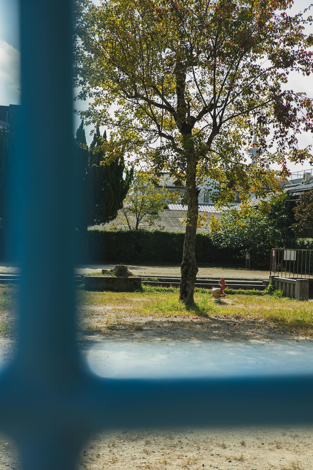 Window view of an empty yard | Source: Pexels