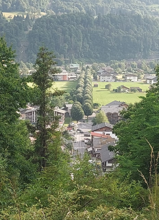 Une image contenant plein air, arbre, montagne, herbe

Le contenu généré par l’IA peut être incorrect.