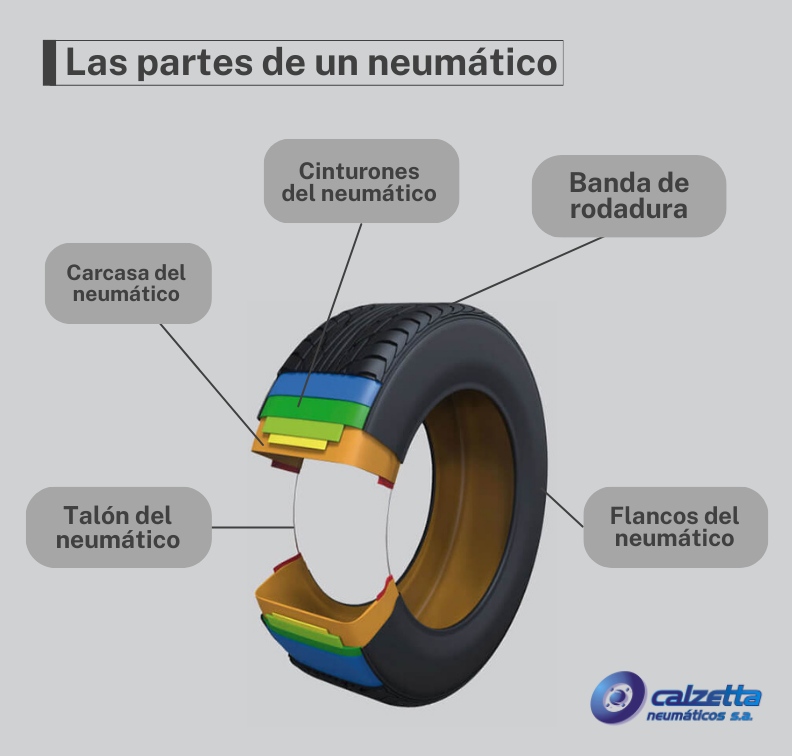 infografía partes de un neumático