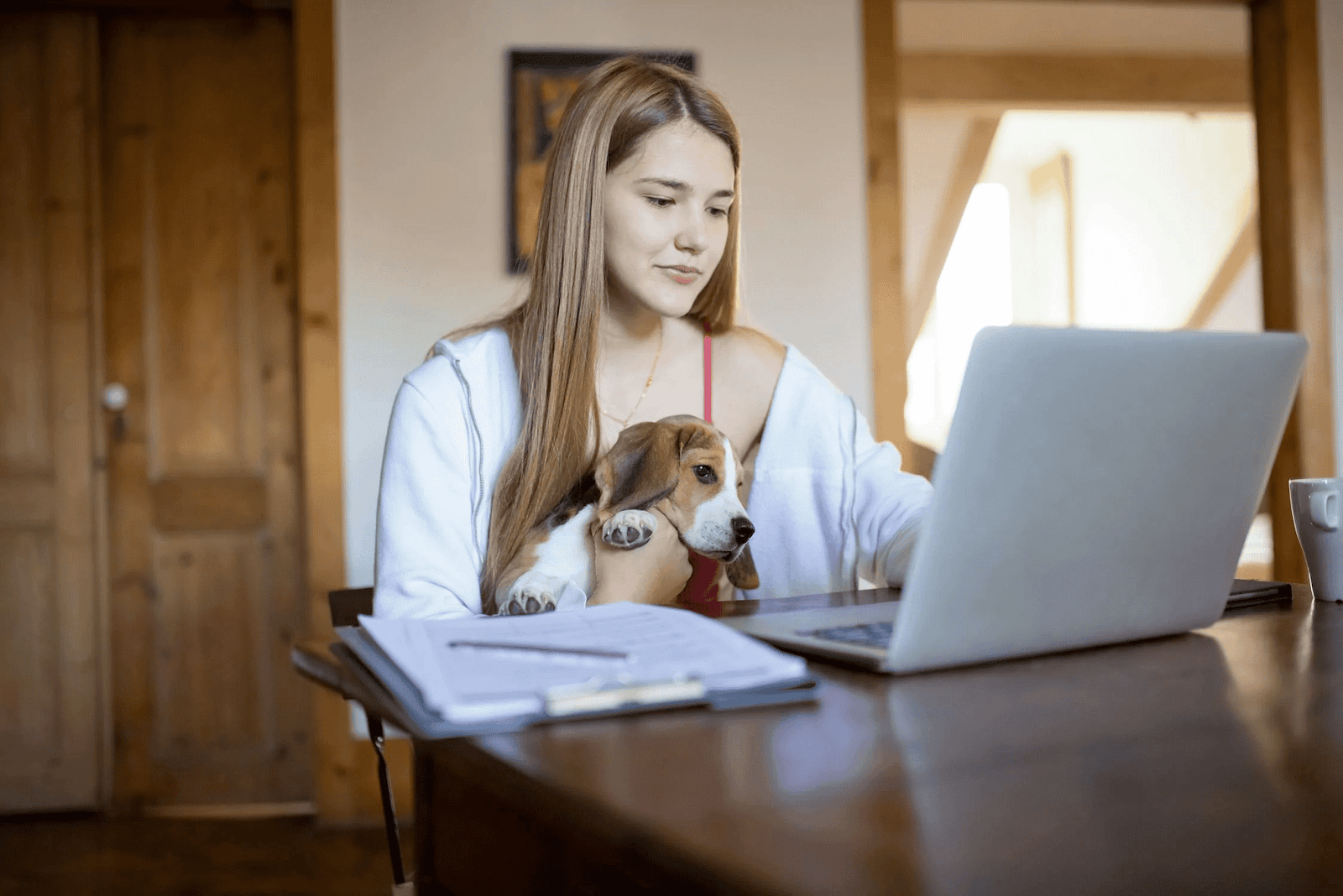 work with pets with wag and rover