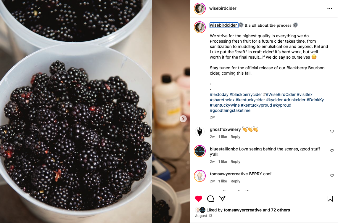 Picture of blackberries used in the production of a hard cider from Wise Bird Cider