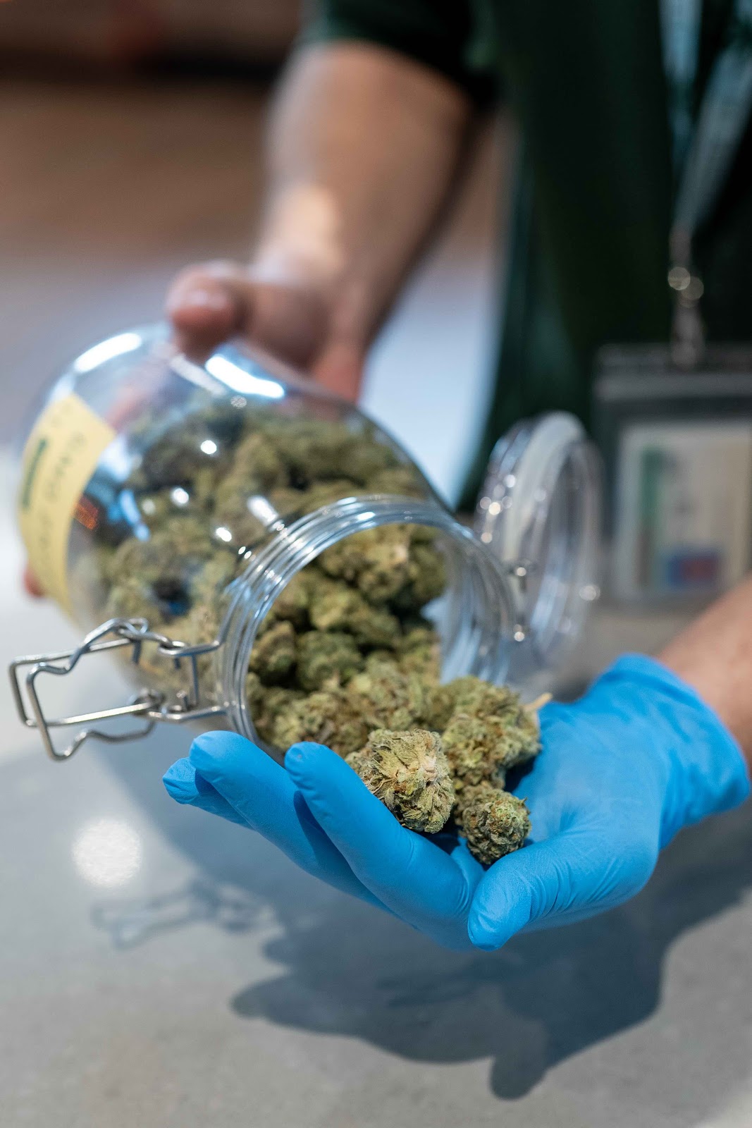 A large jar of cannabis in a deli jar is being dumped into a blue, gloved hand