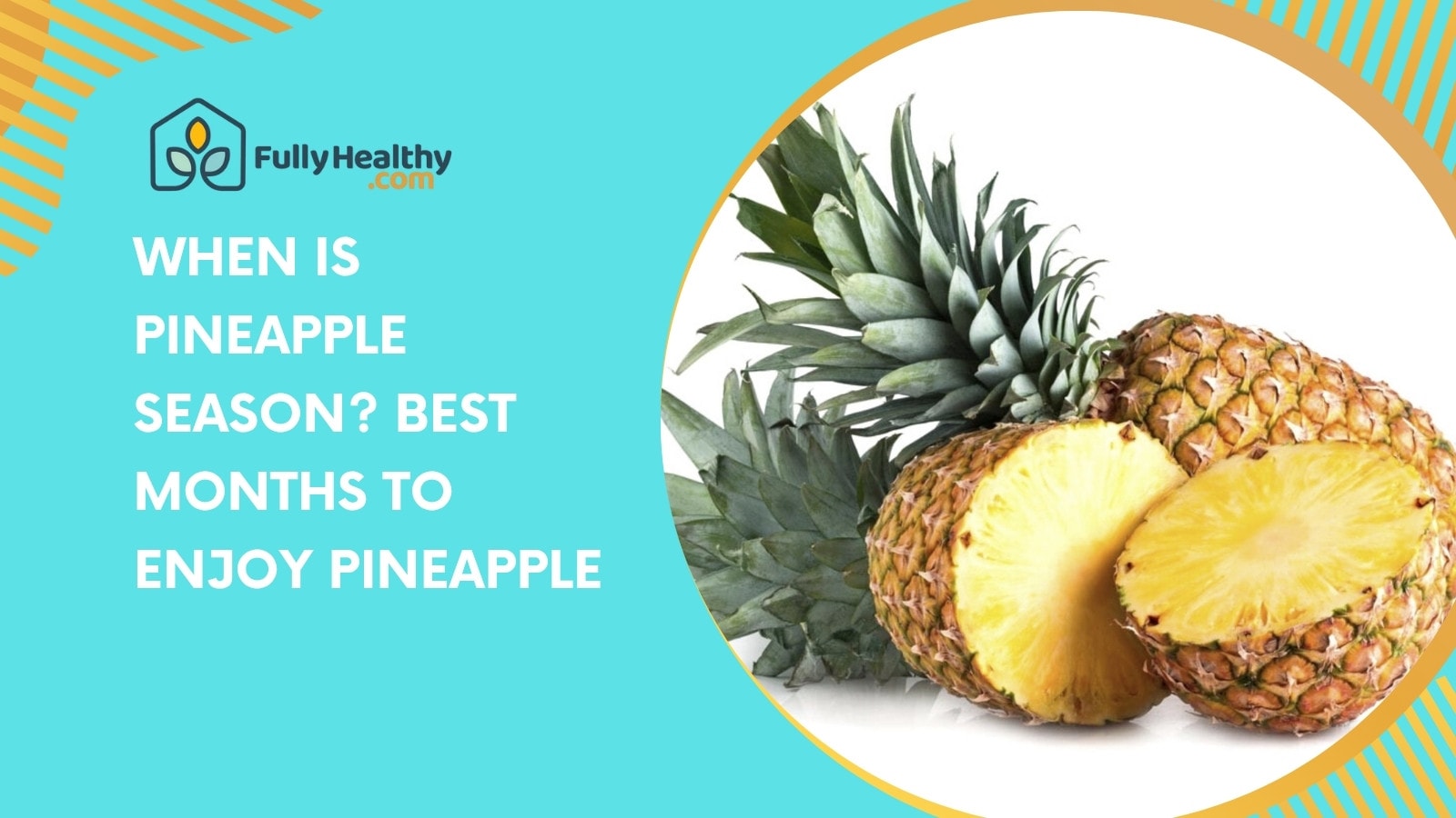 When Is Pineapple Season? Best Months to Enjoy Pineapple