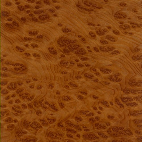 A close-up of a wood grain

Description automatically generated