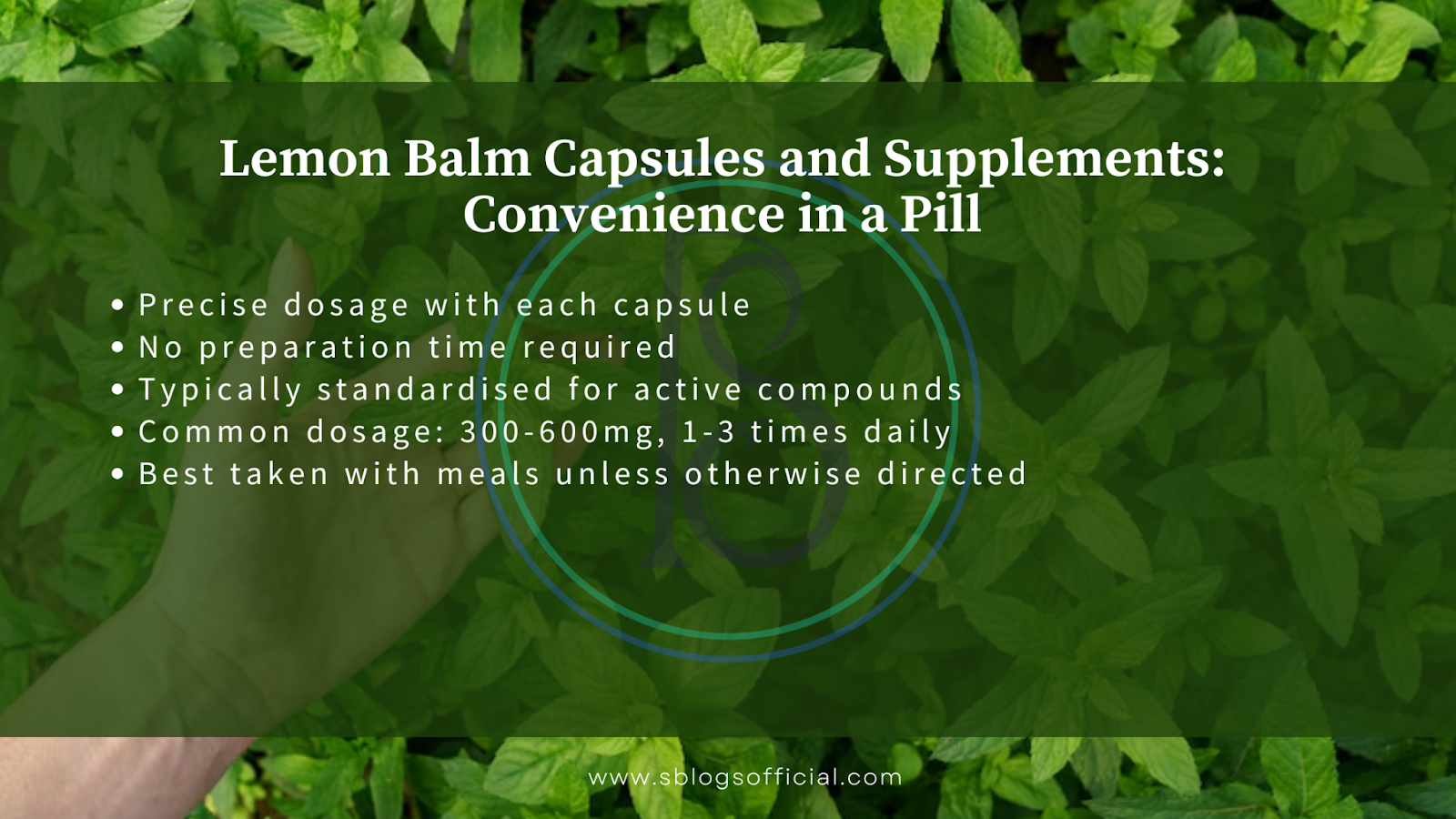 Explaining How to Take Lemon Balm for Weight Loss, by defining lemon balm capsules and supplements as a convenient method of ingestion. 