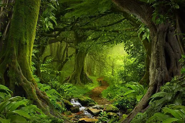 20 Nature Photos with Balanced Composition, visual balance, perfect frame, nature, landscape, scenic layout, harmony in view