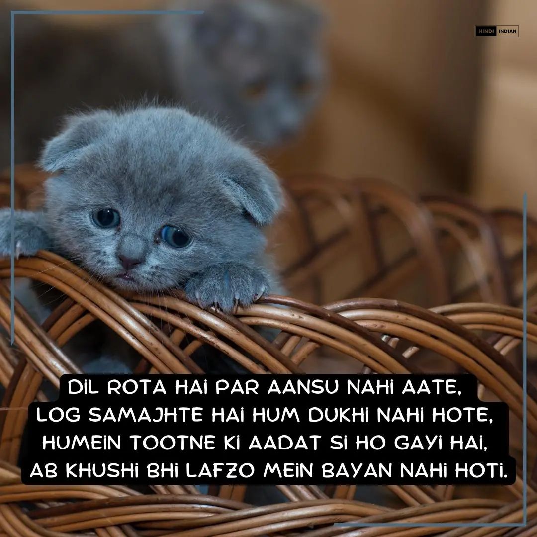 Sad Shayari in English - Best Heart Touching Sad Status 2025