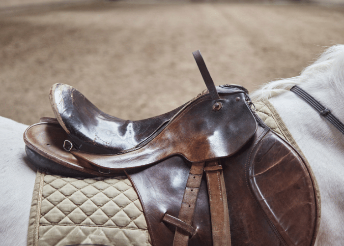 How to Fit a Saddle to a Horse