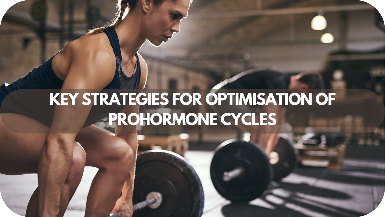 Key Strategies for Optimisation of Prohormone Cycles