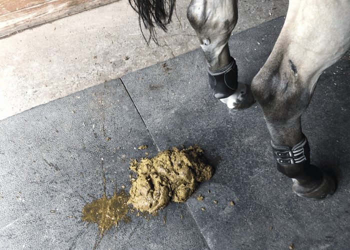 What Causes FWS in Horses?