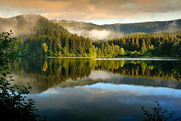 The Art of Stillness: 12 Natural Photos That Speak, still photos, silent landscapes, nature, landscape, nature poetry, visual calm