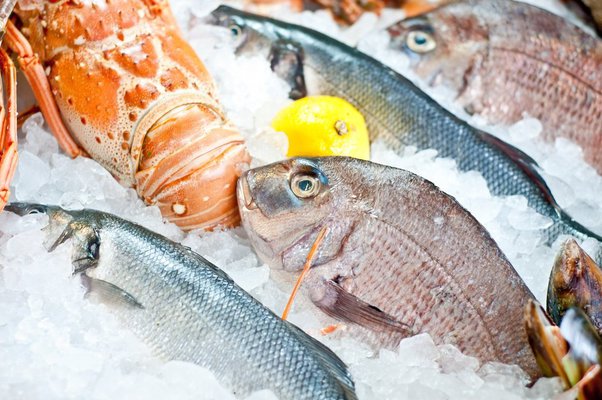 Freshwater Fish Vs Saltwater Fish Taste: Which is More Delicious?