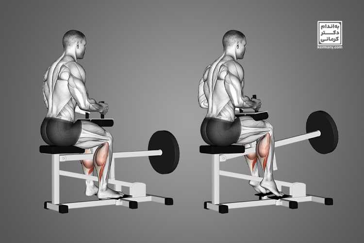 تقویت ساق پا - - تقویت ساق پا - ورزش و سلامتی