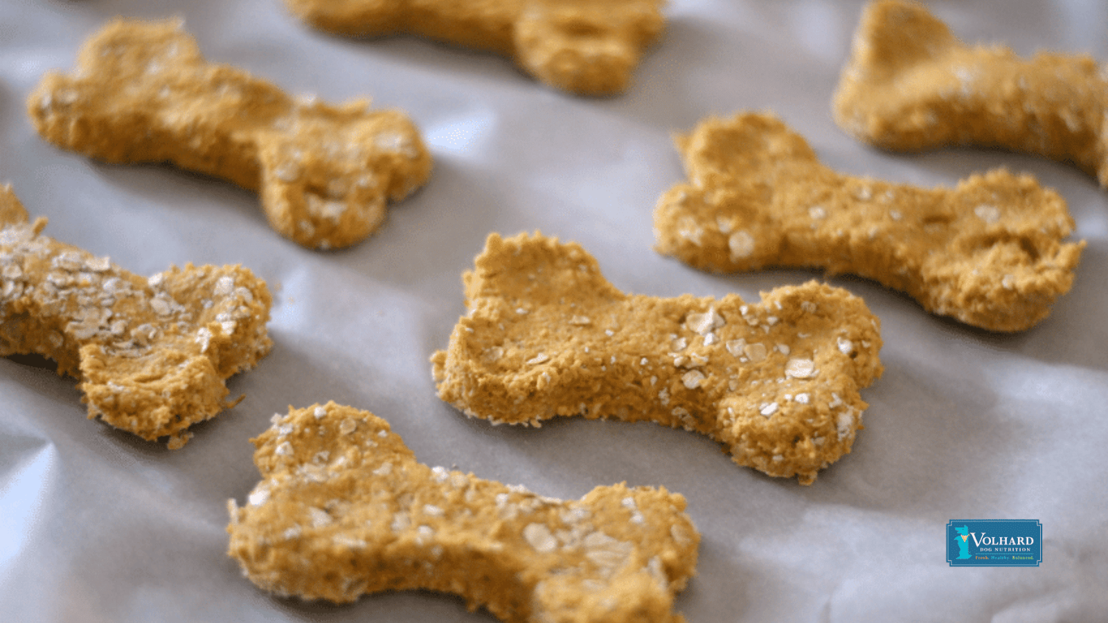 pumpkin and apple biscuits