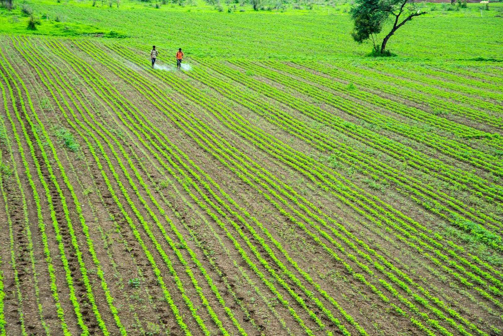 two peoples in the land pumping some chemicals in land