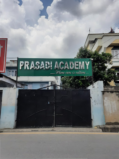 Top plus two colleges of nepal