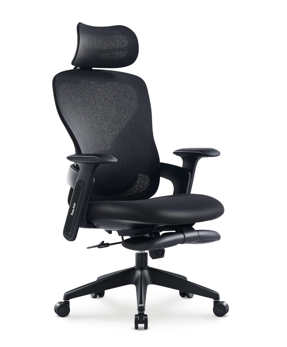 Aura Ergonomic Chair from TopJob