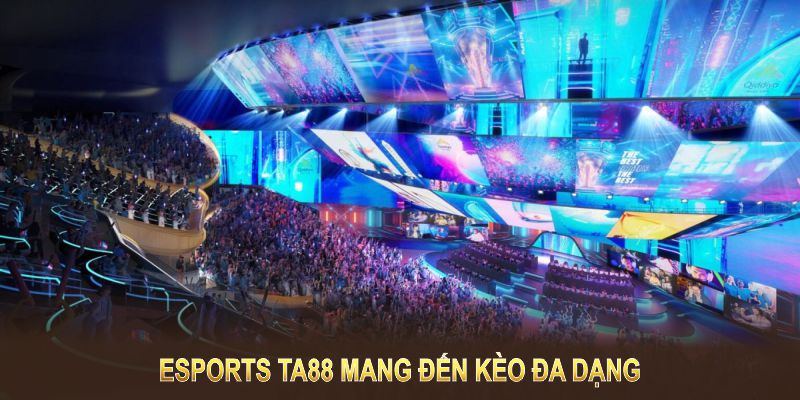 Esports TA88 đảm bảo môi trường cược an toàn, minh bạch và tin cậy