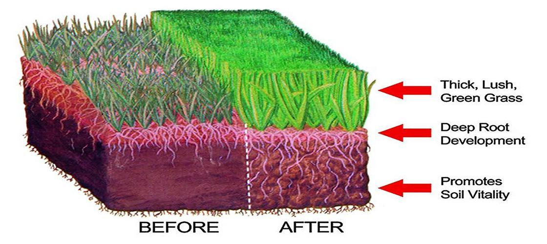 Lawn Fertilization - almost PERFECT Landscaping