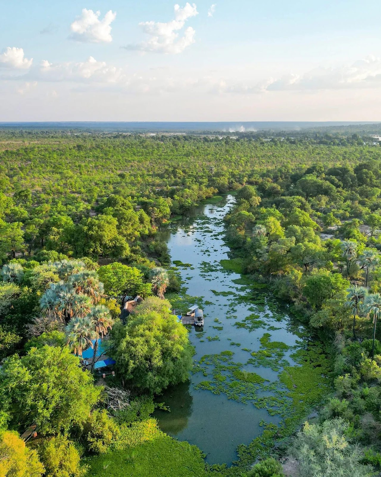 Livingstone