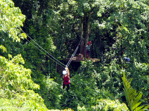 Antiguan adventure
