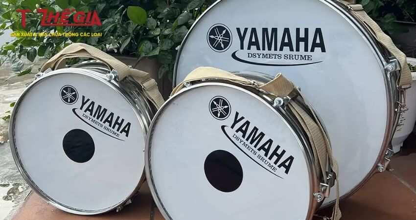 Cách Chọn Trống Đội Yamaha Khi Mua