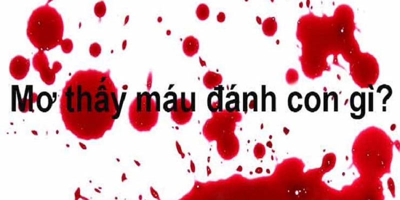 mơ thấy máu đánh con gì